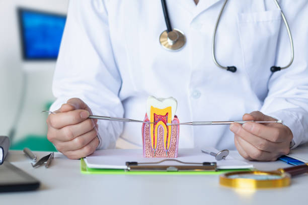Best Emergency Broken Tooth Repair in Altadena, CA